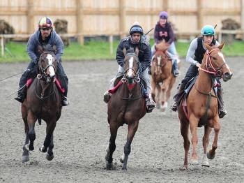 Hastings Racecourse 2023: Horse racing revival honours late Glen Todd