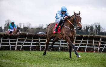 Hatton's Grace Hurdle tips and runners guide to Fairyhouse 2.30