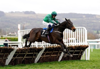 Hatton's Grace Hurdle Tips: The Start Of Something Special at Fairyhouse