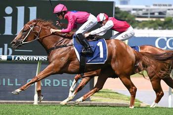 Hawkes Declares Electric Girl A Live Chance In Canterbury Stakes
