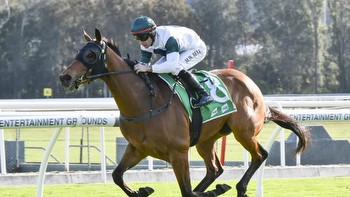 Hawkesbury preview: Doyle eager to keep riding wave of success
