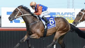 Hawkesbury Sunday tips, best bets, preview, inside mail with Adam Sherry