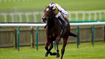 Haydock preview: Lezoo primed to take her chance in Betfair Sprint Cup