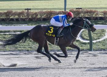 Henny Hughes Colt Runs To Favoritism In Hyacinth S.