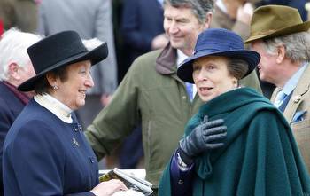 Henrietta Knight: New whip rules will make a mockery of racing