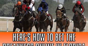 Here's How to Bet the Preakness Online in Florida