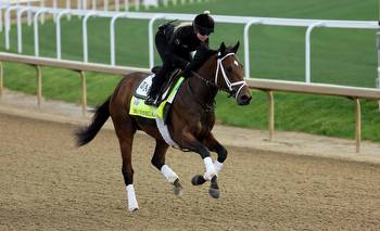 Here’s Why Mo Donegal Will ‘Charge It’ And Win The 2022 Kentucky Derby