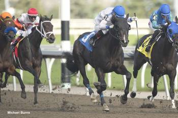 Heritage Series Concludes Friday at Woodbine