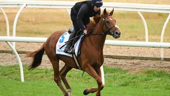 ‘He’s beatable’: Why rivals aren’t running scared of drifting Melbourne Cup favourite Vauban
