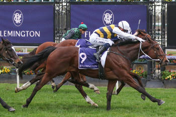 Hezashocka right to roll in Australian Cup