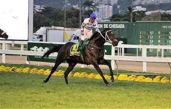 High-Class Field Lines up for Grande Premio Brasil