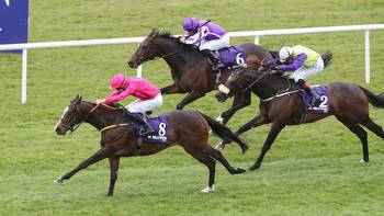High Definition out to turn the tables on Layfayette in Mooresbridge Stakes