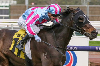 High Emocean a step closer to Melbourne Cup start