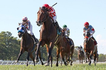 Highestdistinction looks for hat trick in G3 BWI Turf Cup * The Racing Biz