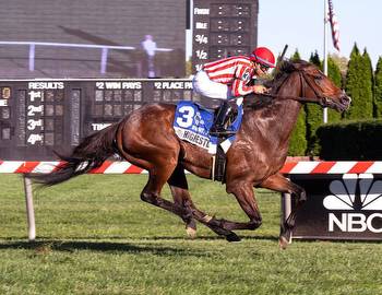 Highestdistinction sharp in G3 BWI Turf Cup win * The Racing Biz