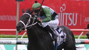 Hinged well weighted for Epsom at Randwick on Saturday