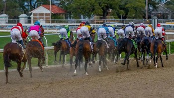 Historical Tips and Trends for Betting the 2024 Risen Star Stakes