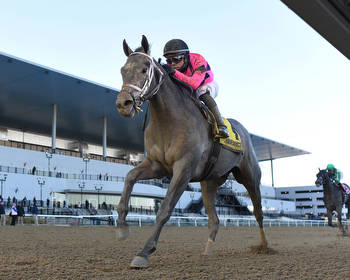 Hit Show Wins On The Big Stage, Earns Kentucky Derby Points