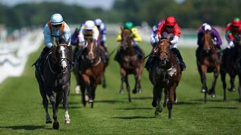 Hollie Doyle blog: Goodwood Festival day two features speedster Eddie's Boy as best chance of Festival success