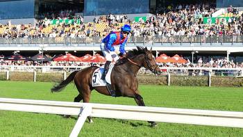 Hollindale Stakes: Zaaki can get rolled as odds-on favourite