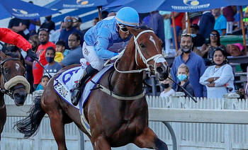 Hollywoodbets Durban July ante-post betting: BIG changes after latest scratchings