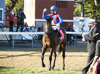 Hollywoodbets Durban July ante-post betting: LATEST odds with 9 weeks to go