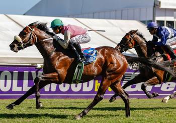 Hollywoodbets Greyville Opens 2023 Today