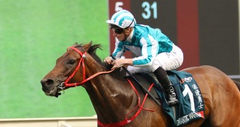 Hong Kong Cup Field, Odds and Horses