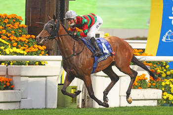 Hong Kong Gold Cup 2023 Field, Tips, Betting Odds, Results