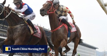 Hong Kong horses falter in Korea after savage betting plunge sets officials scrambling