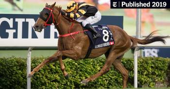 Hong Kong Horses Ready for All-Comers in Hong Kong Races