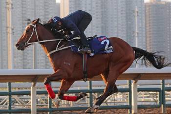 Hong Kong International Races take center stage in weekend horse racing