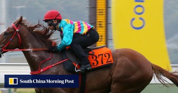 Hong Kong Jockey Club confirms date for historic mainland China race meeting at Conghua Racecourse