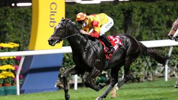 Hong Kong Preview: Savvy tip for January Cup