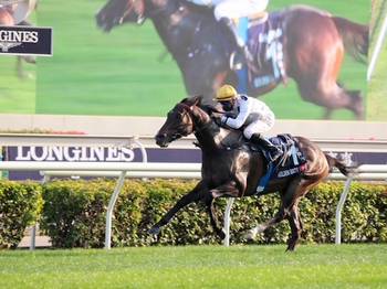Hong Kong Racing Study Guide: Home Team Has Strong Hand For Dec. 11 International Races