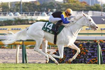 Hong Kong, rare white Thoroughbred in Japan highlight weekend racing