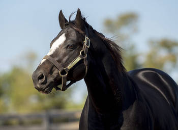 Honor Code's Honor D Lady Takes Remington Park Oaks