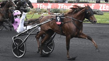 Hooker Berry back to defend his crown in trotting's Holy Grail