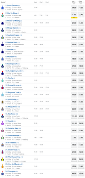 Horse at $101 Odds backed to win Melbourne Cup 2019