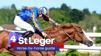 Horse-by-horse guide to Saturday's William Hill St Leger