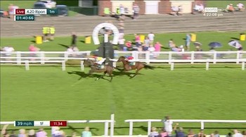 Horse called Doom defeated at odds of 1-25 in two-horse race at Ripon