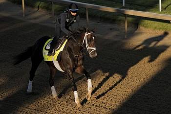 Horse deaths, bans, four scratches ... a Kentucky Derby week unlike any other