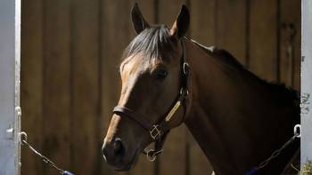 Horse dies, Belmont winner scratched from Breeders' Classic