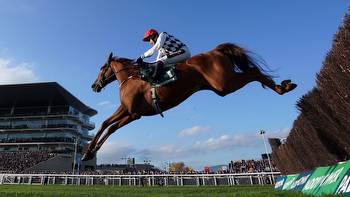 Horse in Focus: Is Banbridge a genuine Sporting Life Arkle contender for the Cheltenham Festival?