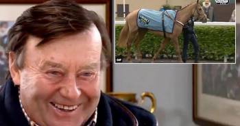 Horse named after amusing Nicky Henderson Cheltenham Festival blooper makes debut