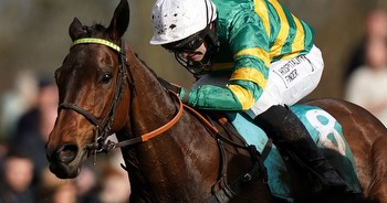 Horse Power: Guetapan Collonges can win the Midlands Grand National at Uttoxeter