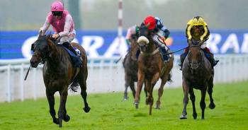 Horse Power: Sweet William set for success in the Ebor Handicap at York