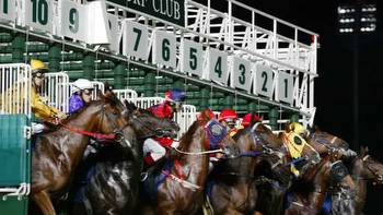 Horse racing, a 180-year-old sport in Singapore, will come to a halt in 2024