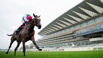 Horse racing analysis: Timeform's top fillies and mares to win the King George