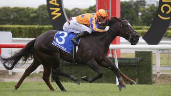 Horse racing: Aussie stable for Te Akau